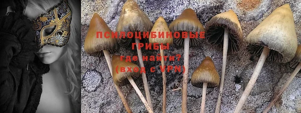 дмт Алзамай