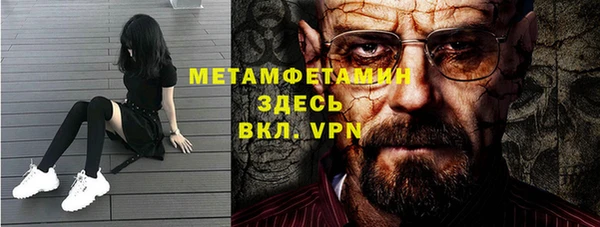 крисы Мегион