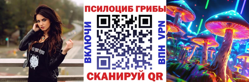 цены наркотик  Арзамас  Галлюциногенные грибы Psilocybine cubensis 