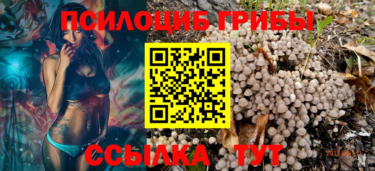 как найти наркотики  Псилоцибиновые грибы Cubensis  Вход с VPN  Арзамас  Псилоцибиновые грибы мухоморы 