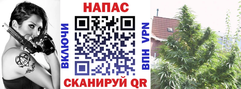 Каннабис VHQ  Арзамас 